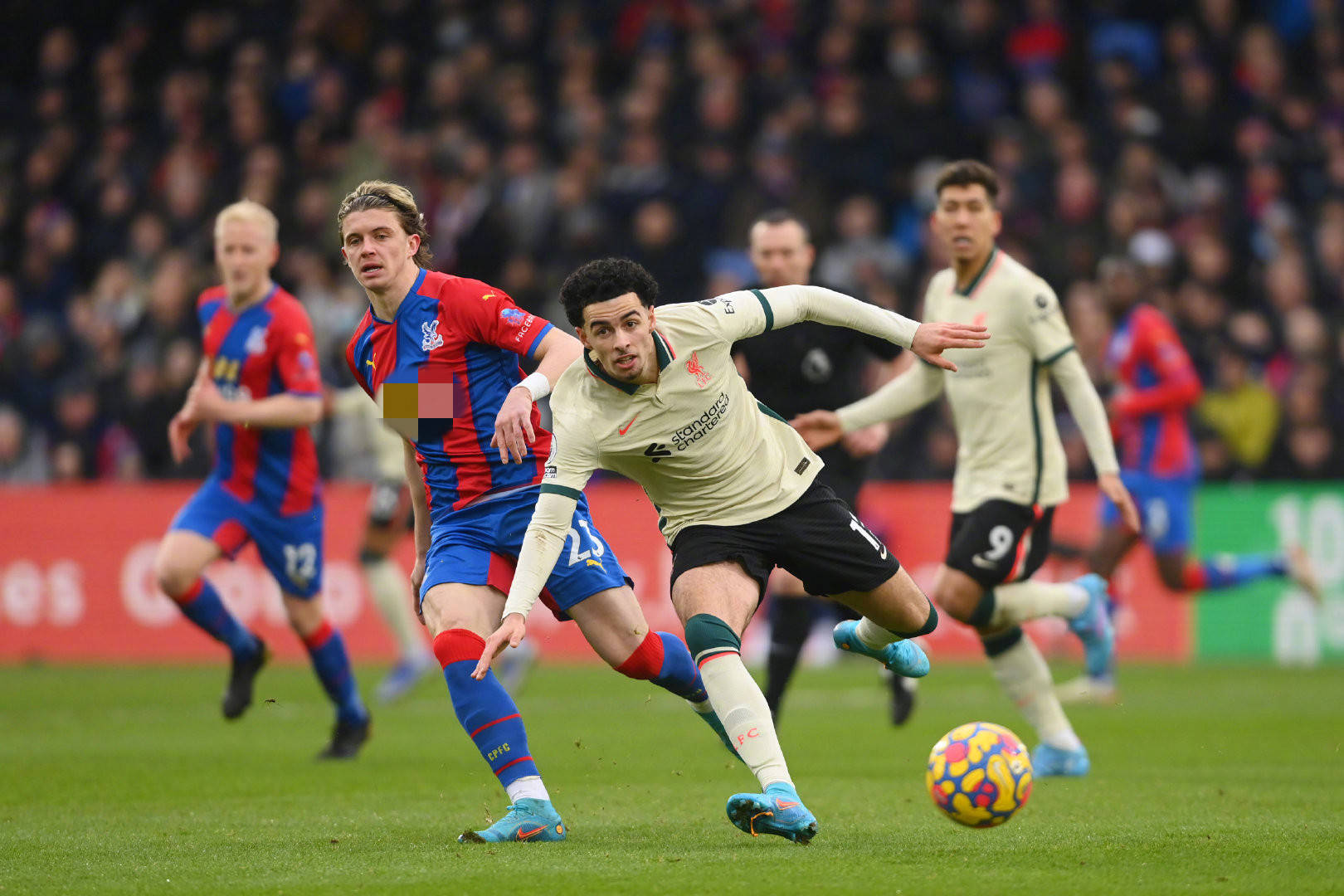 注重潜力和 注重潜力和