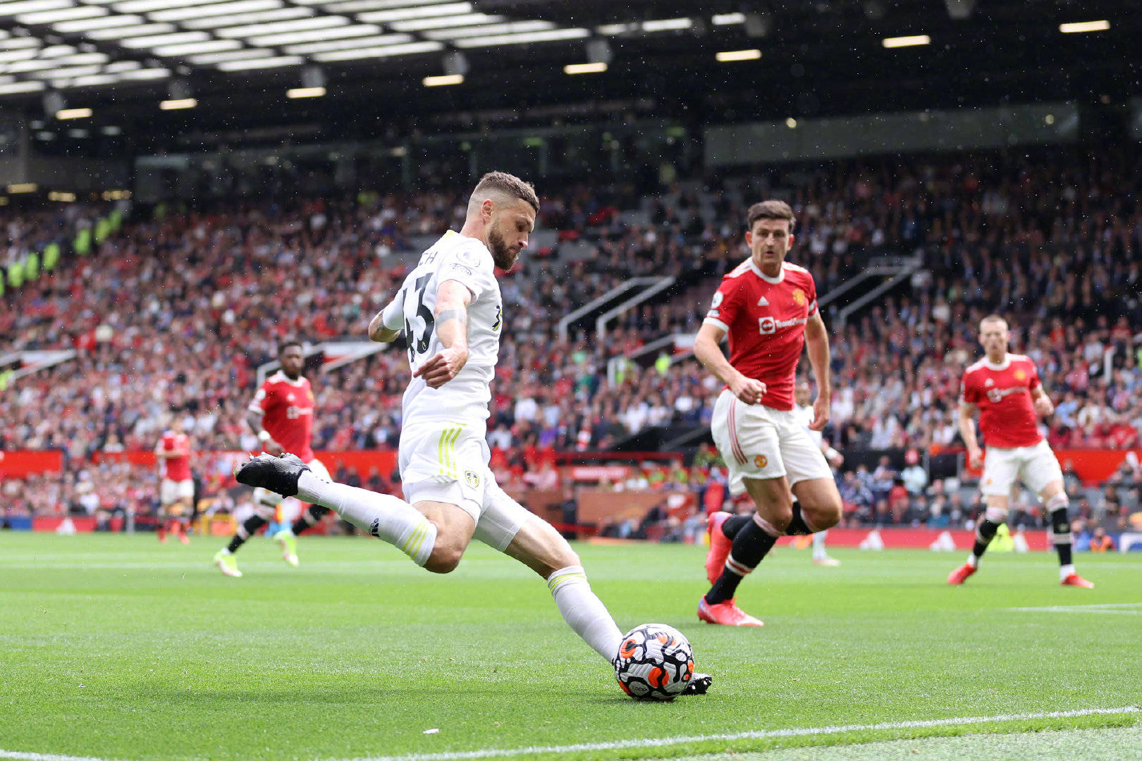 维奥尔成为 维奥尔成为